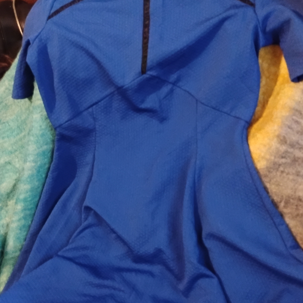 Chic Royal Blue Long Sleeve Dress